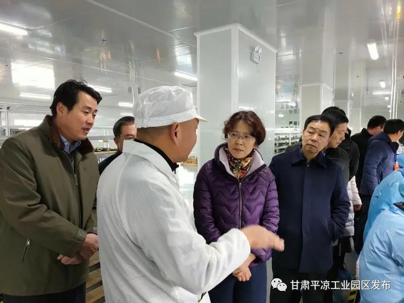 省市人大代表来平凉工业园区视察(图2) 省市人大代表来平凉工业园区视察(图2)