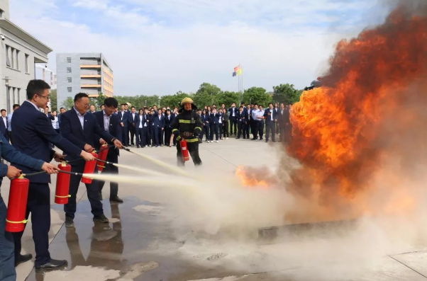 乐鱼网页版-乐鱼(中国)
打造“泓源红”党建品牌助推高质量发展(图13)